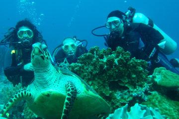 Galapagos Diving day trips