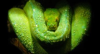 Top 10 Ecuador Ecotourism Destinations