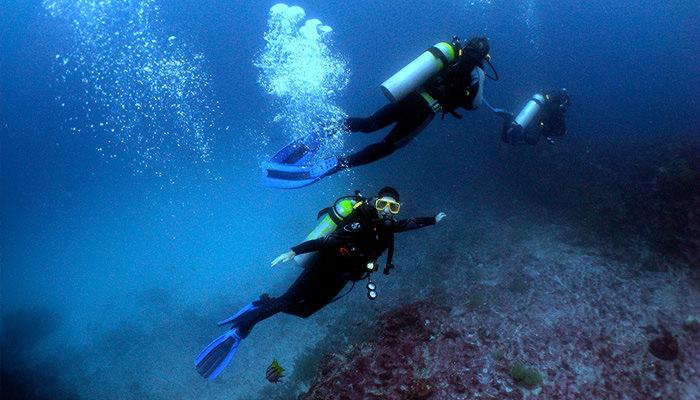 Ecuador & Galapagos blog: Diving