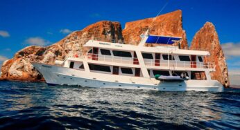 So… Galapagos Cruise or Island Hopping Land Tour?
