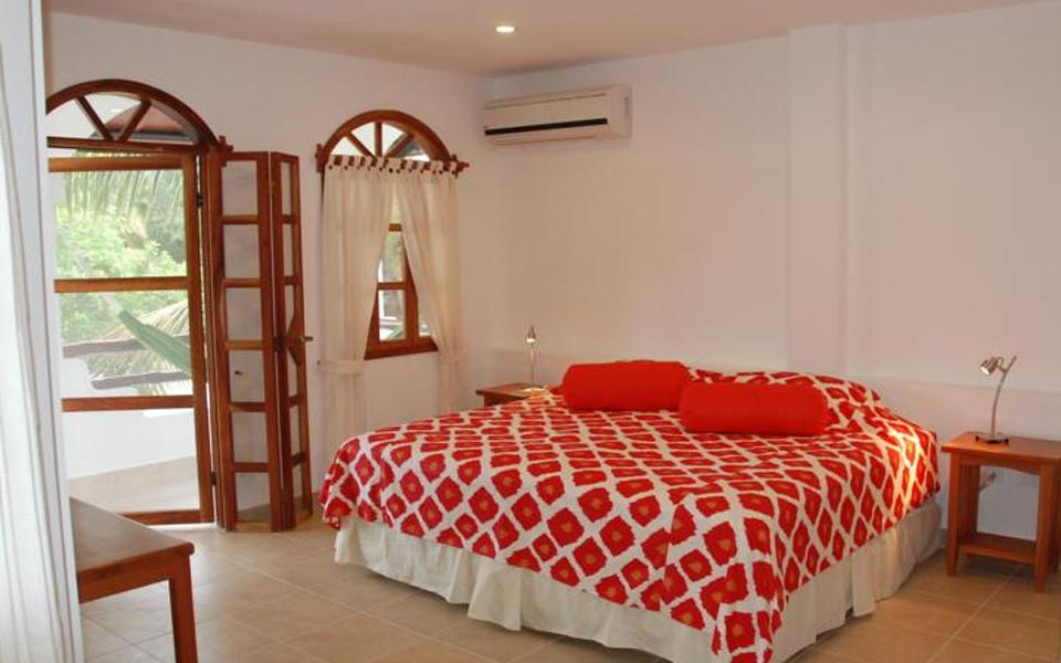 Hotel Galapagos Suites - Single Room