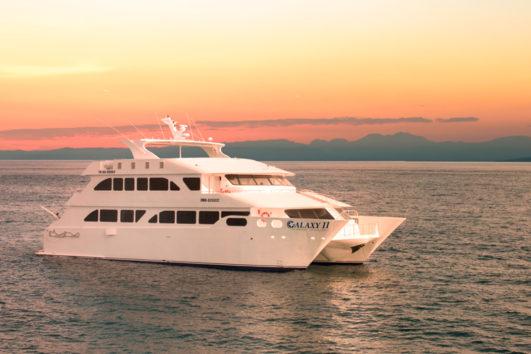 Luxury Cruises Galapagos Eco Galaxy II