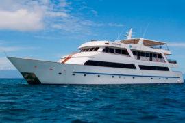 Luxury Cruise Galapagos Sea Star