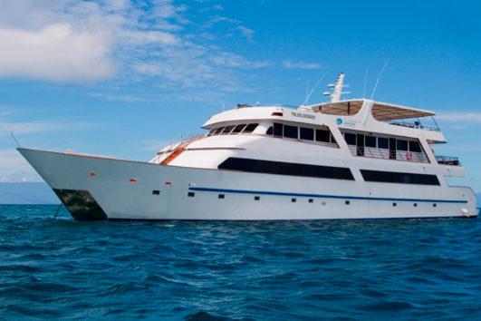 Luxury Cruise Galapagos Sea Star