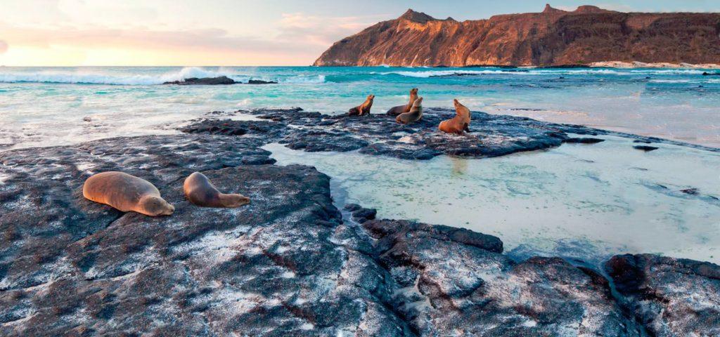 10 Things to do in San Cristobal Island Galapagos