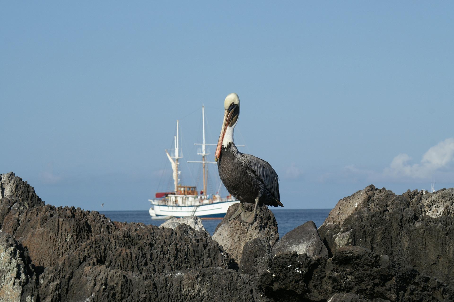 Forget Charles Darwin: Here are 15 Amazing Travel Experiences in the Galapagos Islands