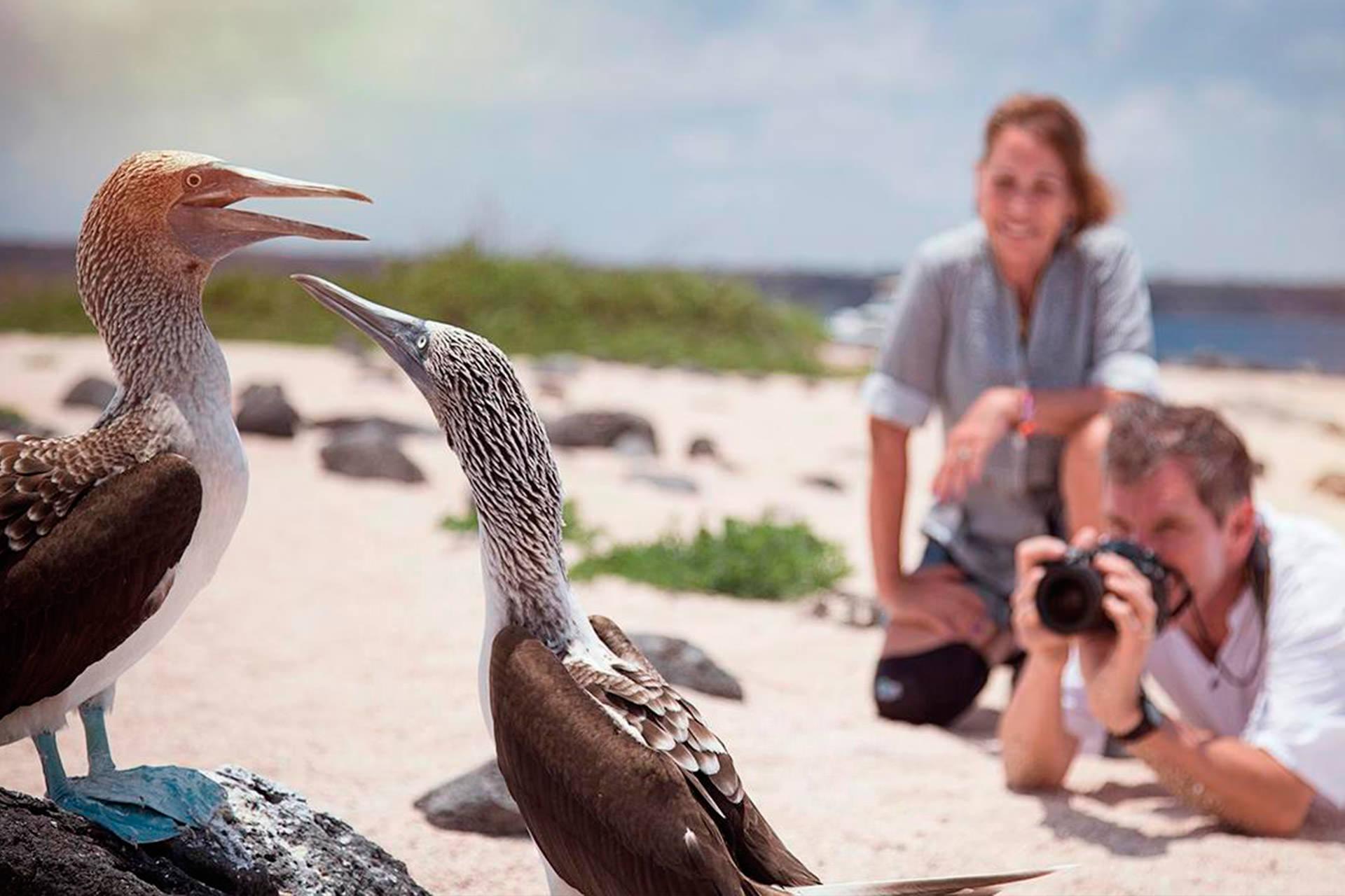 How to Plan the Perfect Couples Cruise to the Galapagos Islands