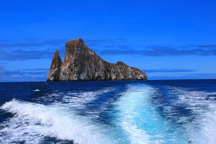 kicker rock day tour from san cristobal head