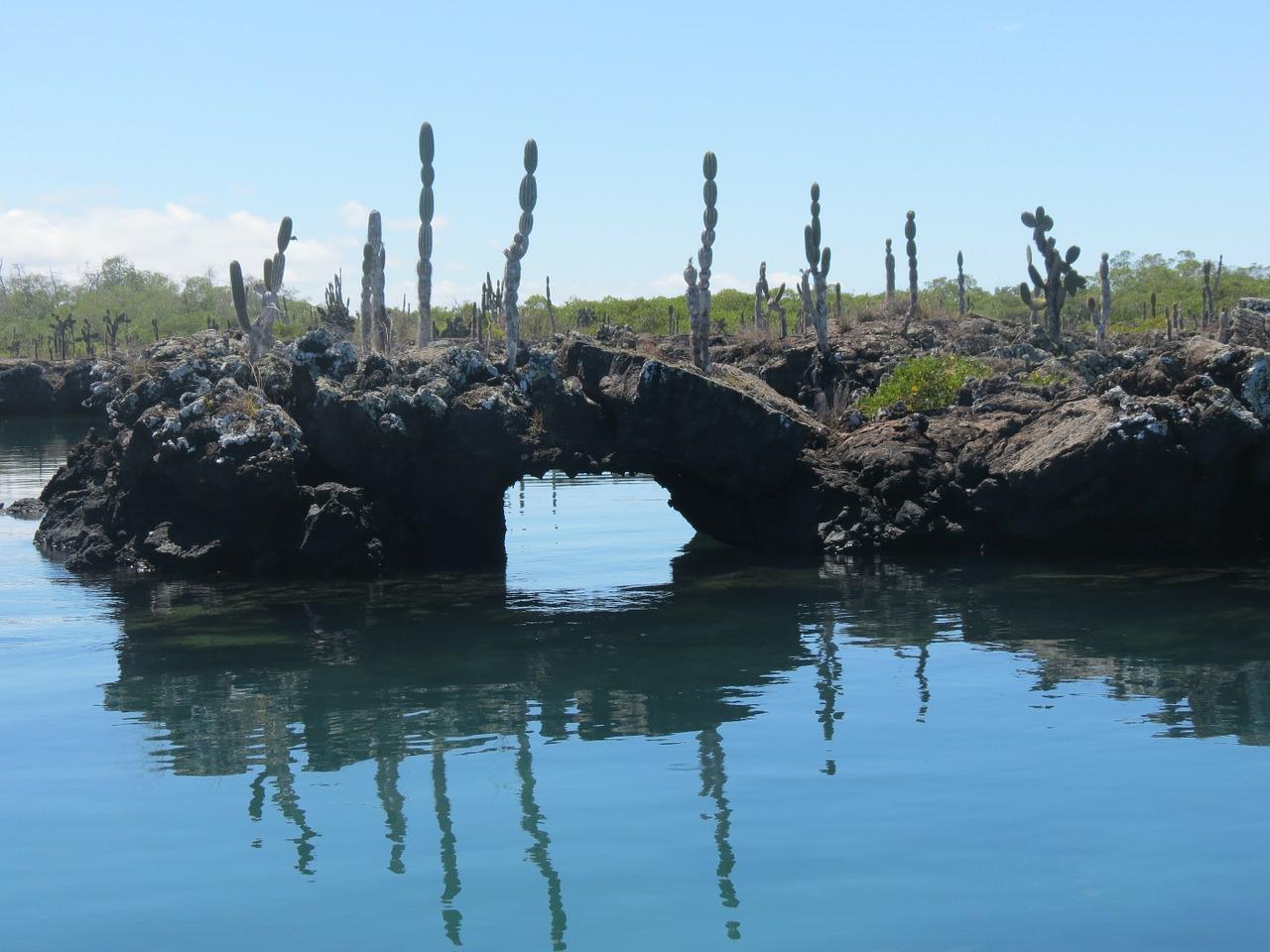 Visitng Galapagos on a budget: The Ultimate Itinerary for the 30+ Traveler