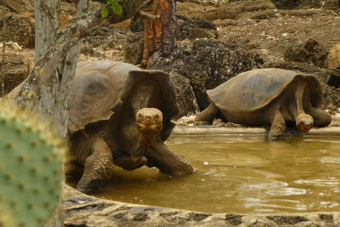 4 day galapagos tour