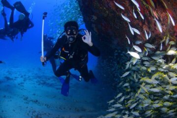 PADI Course Galapagos