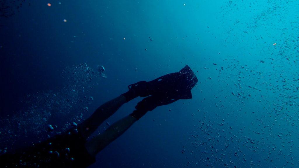 scuba diving galapagos beginner course