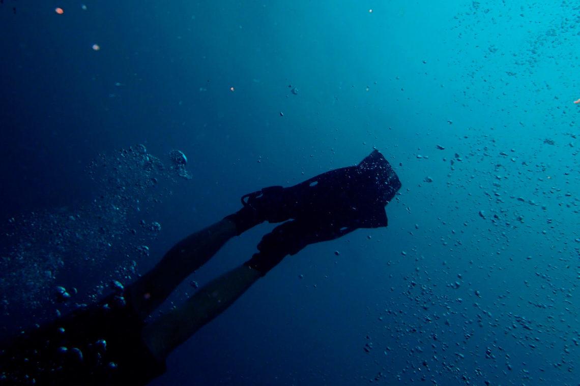 scuba diving galapagos beginner course