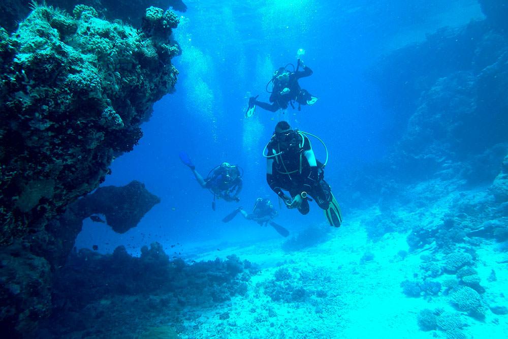 scuba diving galapagos beginner course divers