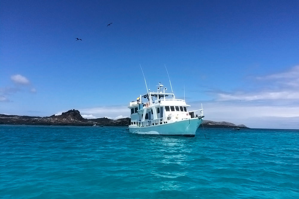 galapagos cruise comparison budget class