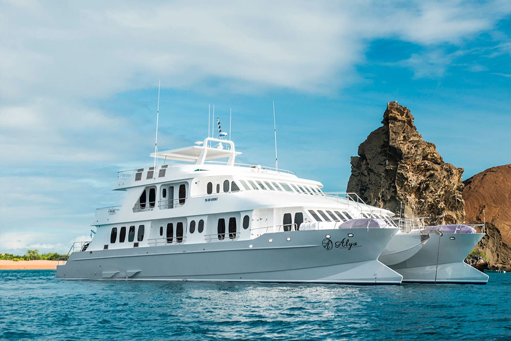 galapagos cruise comparison catamaran