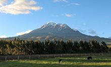 10 days in ecuador jungle feat