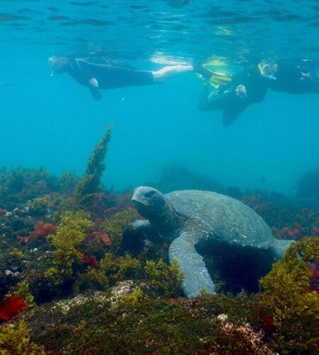 things to do in Isabela galapagos tuneles