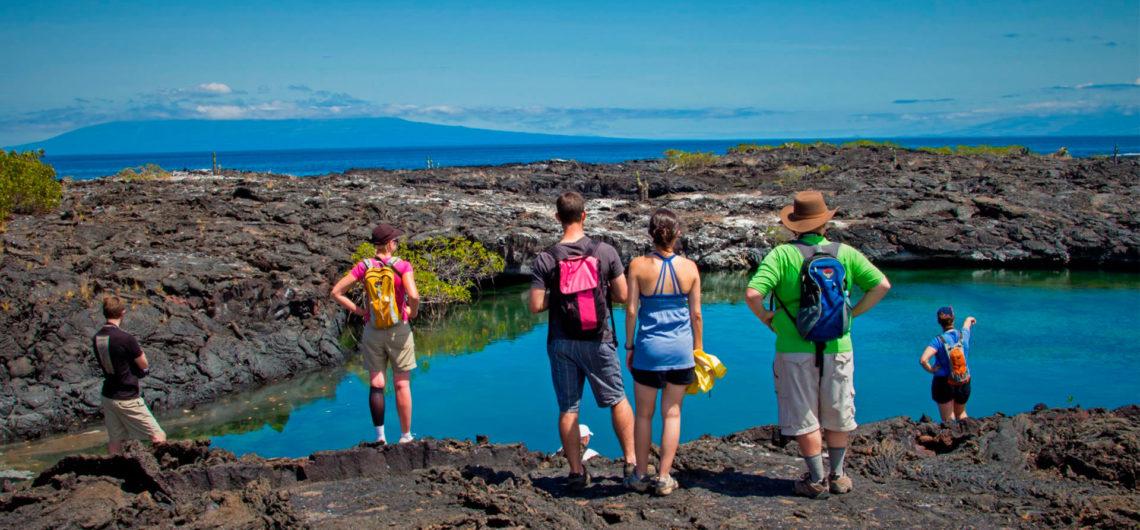 things to do in isabela galapagos feat