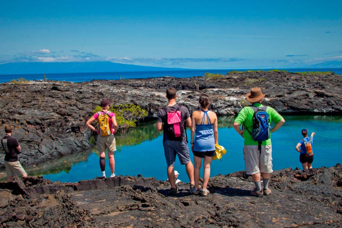 things to do in isabela galapagos feat