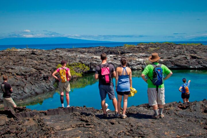 things to do in isabela galapagos feat