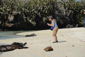 Quito and Galapagos Tour