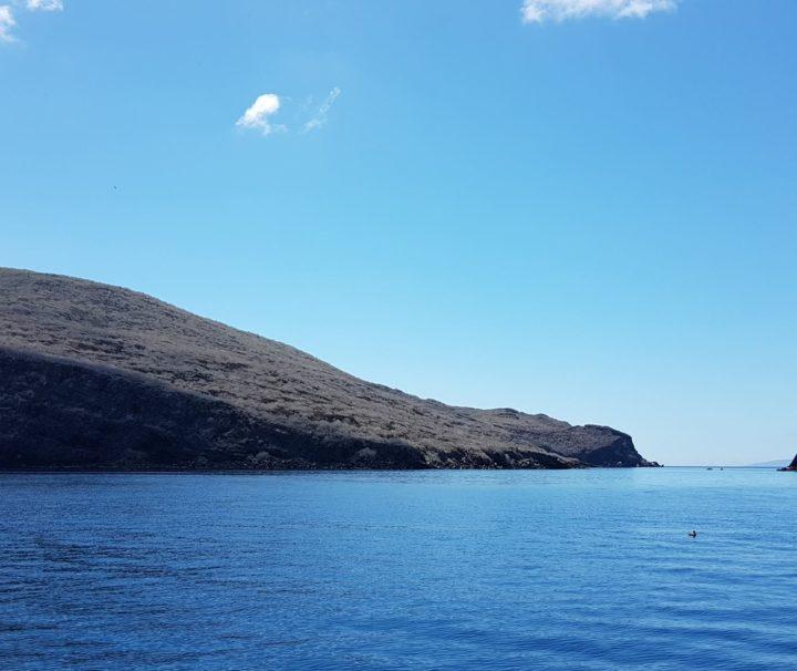 finch island galapagos