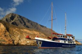 Crucero Samba Galapagos