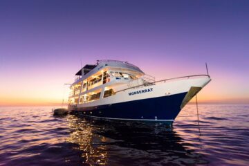 Monserrat cruise in the night