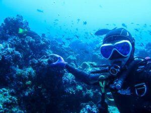 water diving with fish