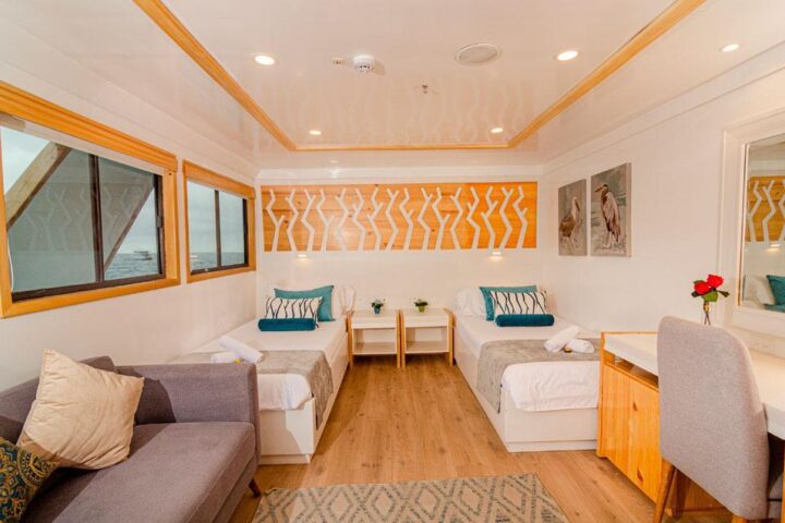 Luxury suite for two people on the Sea Star Journey Galapagos Cruise