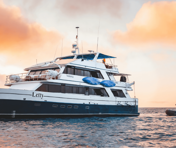 exterior yacht letty