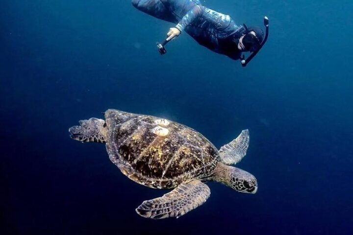 undersea boat adriana galapagos