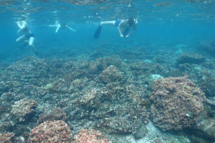 people snorkeling in magico isabela