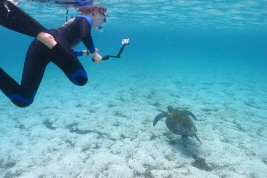 santa fe galapagos snorkeling day trip