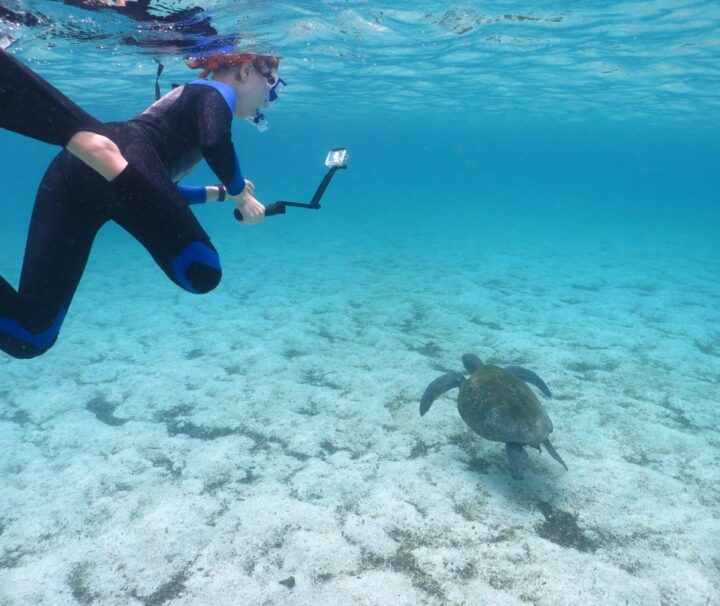 santa fe galapagos snorkeling day trip