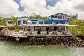 Panoramic view at the Red Mangrove Adventure Lodge