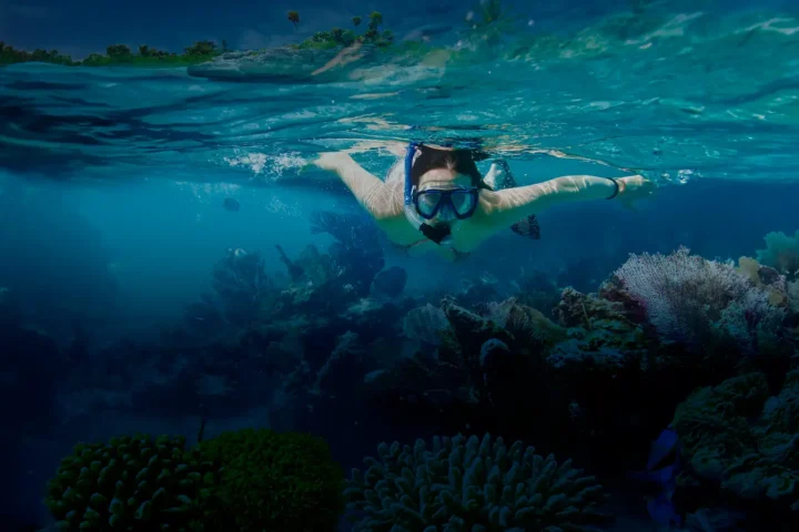 Tourist snorkeling underwater in the Galapagos on Windrose Yacht