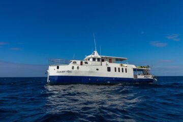 danubio blue cruise exterior