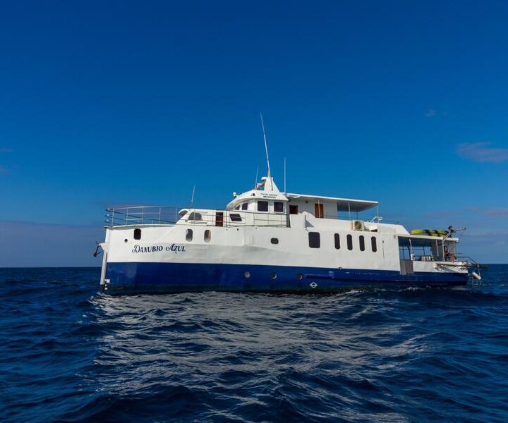 danubio blue cruise exterior