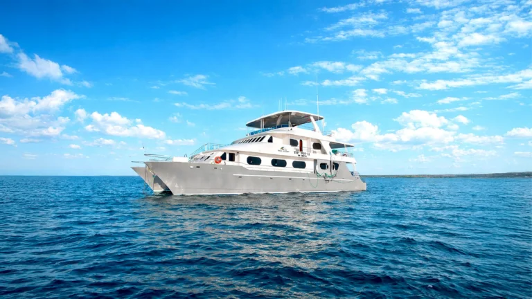 Galapagos Cruises